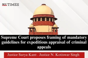 framing mandatory guidelines criminal appeals
