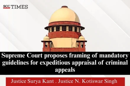 framing mandatory guidelines criminal appeals